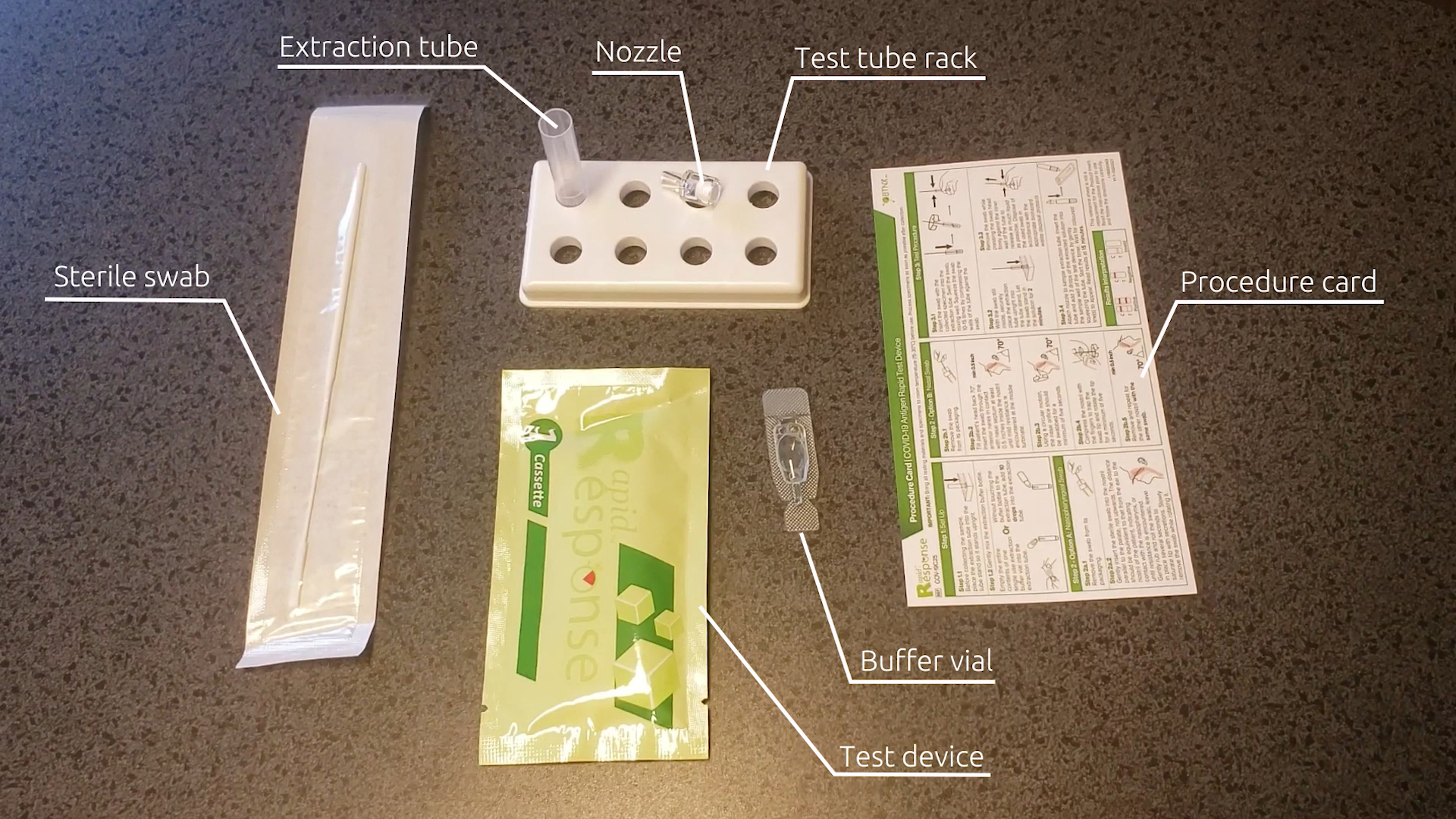 rapid antigen test kits