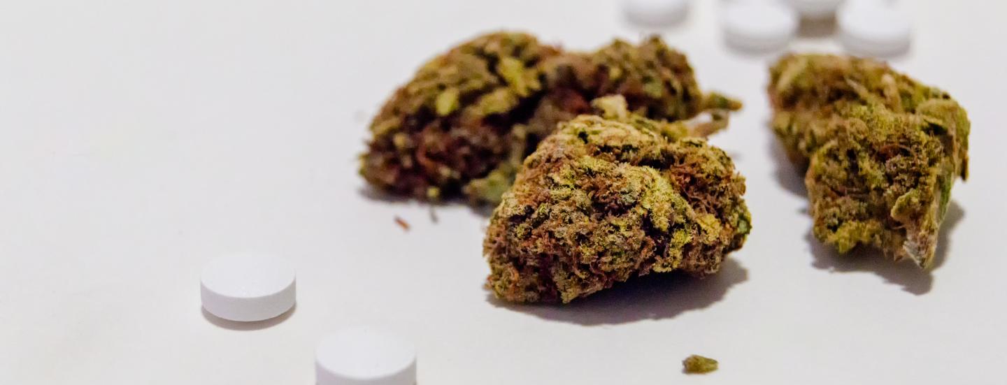 Cannabis and Opioid